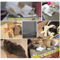 Mon ami à quatre pattes cat scratcher cardboard sofa bed with scratching surface and cozy lounge area for cats.