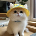 Summer cat sun hat with ear holes, lightweight and breathable, designed by Mon ami à quatre pattes for outdoor protection.