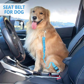 Dog pet car seat belt from Mon ami à quatre pattes, adjustable nylon strap with metal clip for secure vehicle restraint.
