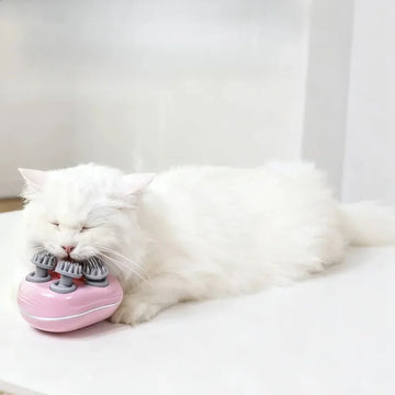Masseur électrique pour chats