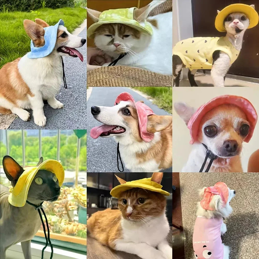 Pet hat with ear holes for dogs and cats by Mon ami à quatre pattes, featuring a cozy, stylish design for furry pets.