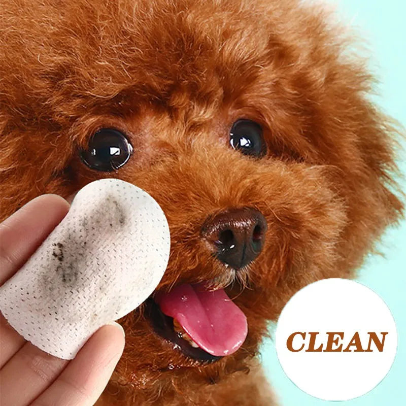 Pet eye wipes for dogs and cats by Mon ami à quatre pattes, 130-count package, showing wipes and packaging in the image.