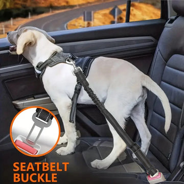 Dog car seat belt with bungee shock absorber by Mon ami à quatre pattes, showing adjustable strap and shock-absorbing feature for safe travel.