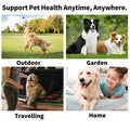 Pet eye wipes for dogs and cats by Mon ami à quatre pattes, showing soft wipes and a clean, healthy pet eye area.