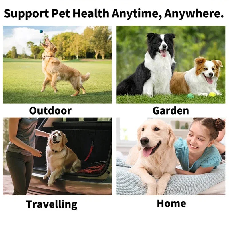 Pet eye wipes for dogs and cats by Mon ami à quatre pattes, showing soft wipes and a clean, healthy pet eye area.