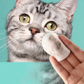 Pet eye wipes for dogs and cats by Mon ami à quatre pattes, 130-count package with soft cloths for cleaning pet’s eyes.