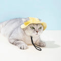 Pet hat with ear holes for dogs and cats, by Mon ami à quatre pattes, shown on a small dog or cat.