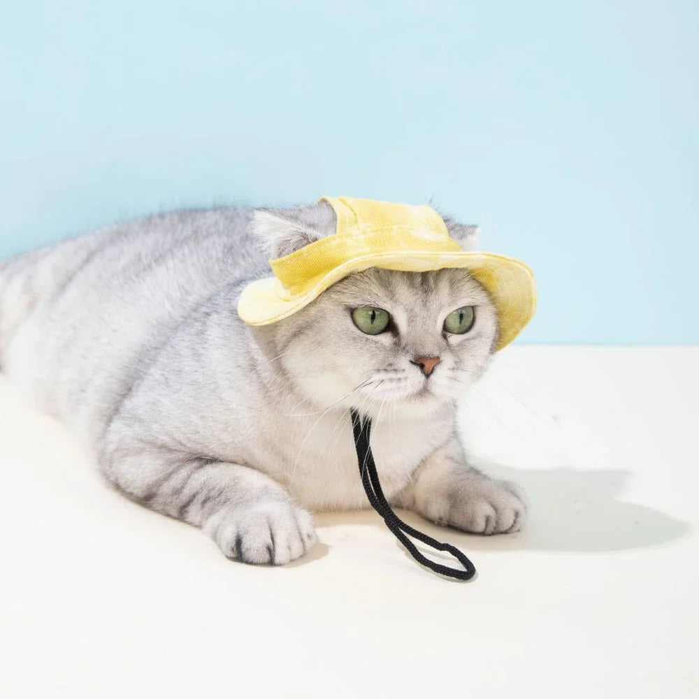 Pet hat with ear holes for dogs and cats, by Mon ami à quatre pattes, shown on a small dog or cat.