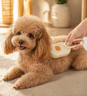 Brosse à vapeur électrique 3-en-1 pour animaux de compagnie